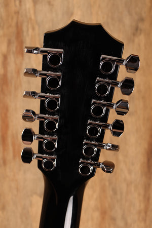 Taylor 250ce-BLK DLX B-stock